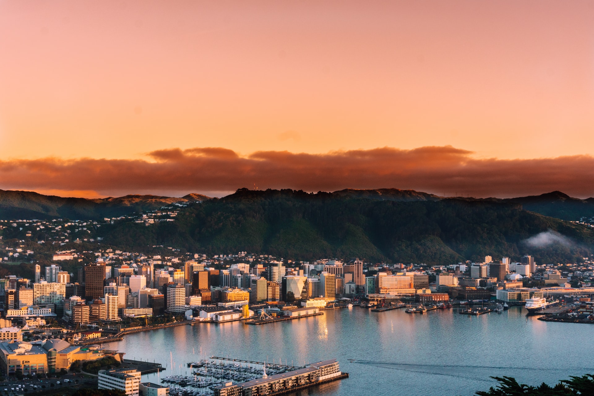 Wellington sunrise